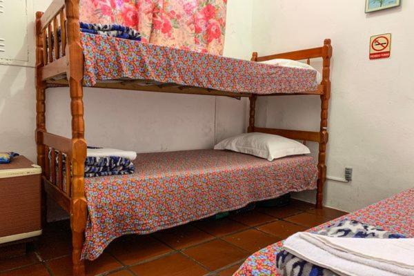 Hotel Pousada Edelweiss Florianópolis Eksteriør bilde